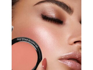 WABI ALL STAR POWDER BLUSH 04